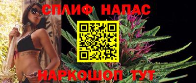шишки Пугачёв